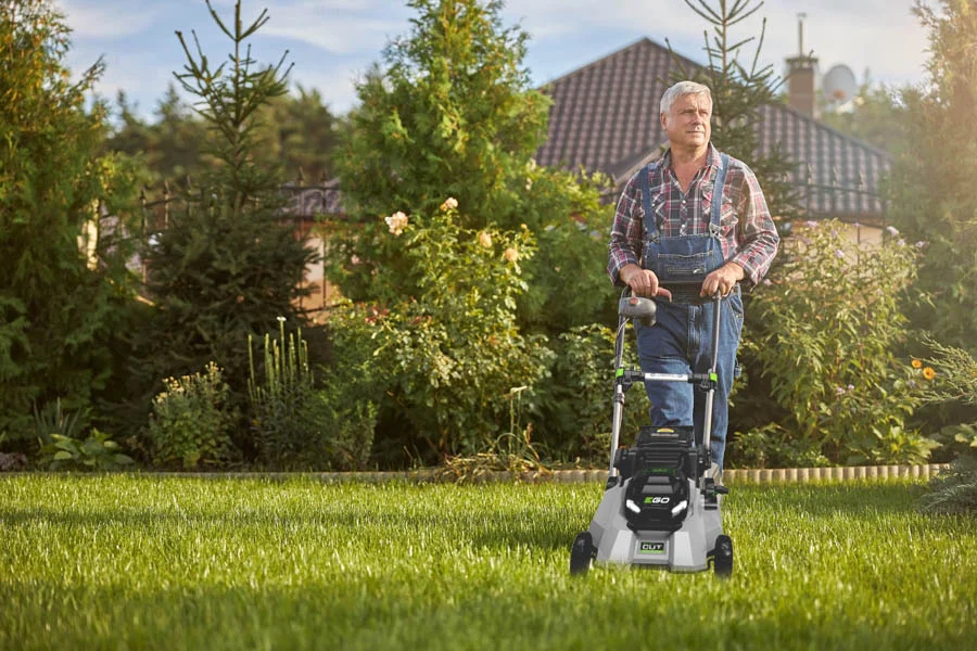 best electric lawn mowers 2024